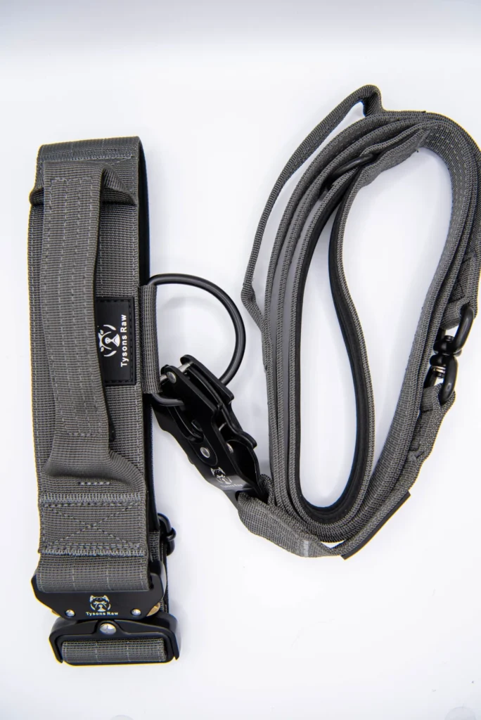 Pet Accessories Greater London